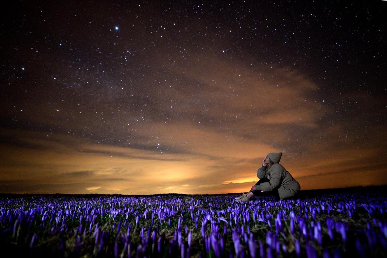 Koca Kronca - Velika Planina Stahovica Exteriér fotografie